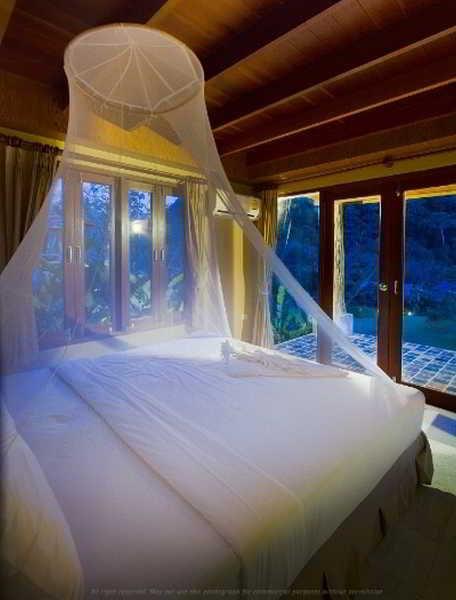 Cliff And River Jungle Hotel Surat Thani Bagian luar foto